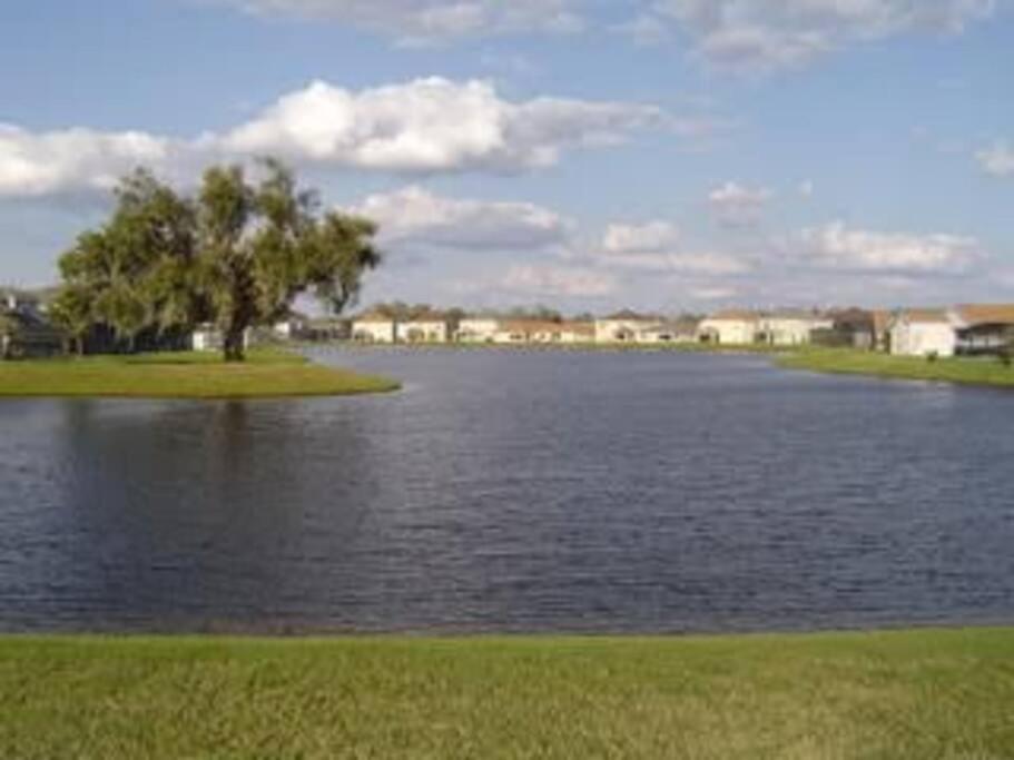 Gone 2 Florida Vacation Homes Four Corners Bilik gambar